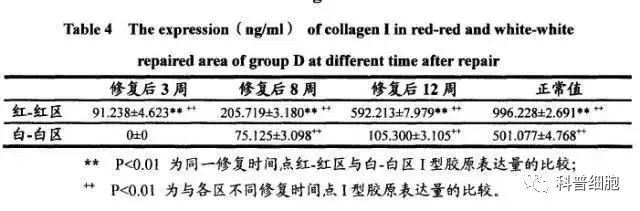 干细胞技术干预半月板损伤临床效果显著-这以是公认的有效手段之一