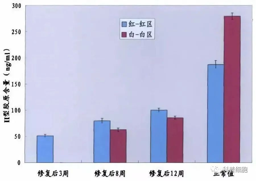 干细胞技术干预半月板损伤临床效果显著-这以是公认的有效手段之一