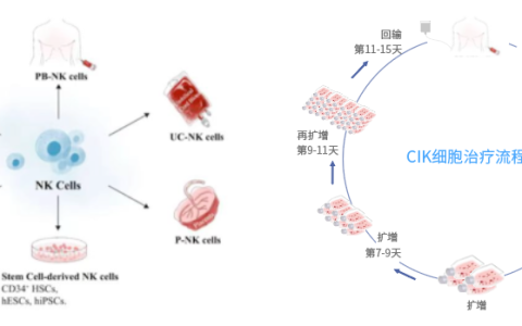 免疫细胞回输，CIK细胞与NK细胞区别