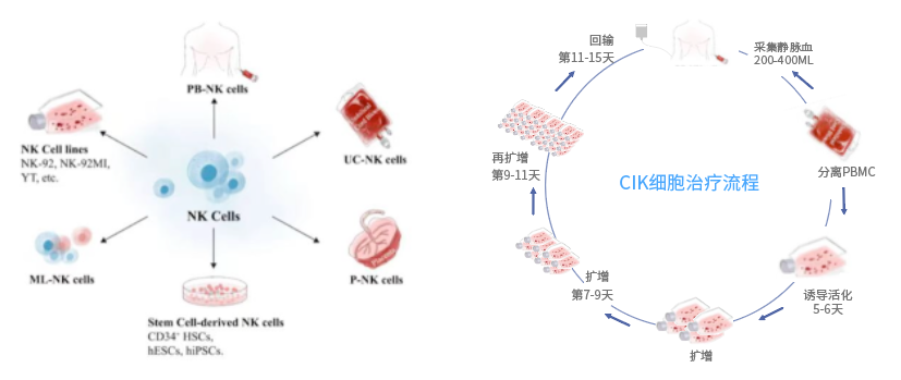 免疫细胞回输，CIK细胞与NK细胞区别