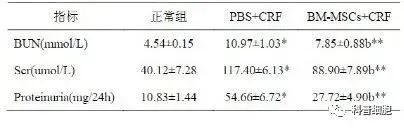 痛风，一场“重塑”人类历史的疾病，干细胞带来新希望！