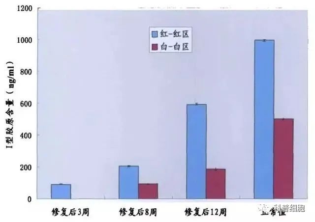 干细胞技术干预半月板损伤临床效果显著-这以是公认的有效手段之一