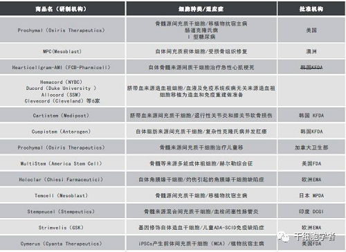 7000多种罕见病有望翻转命运？干细胞疗法崭露头角！