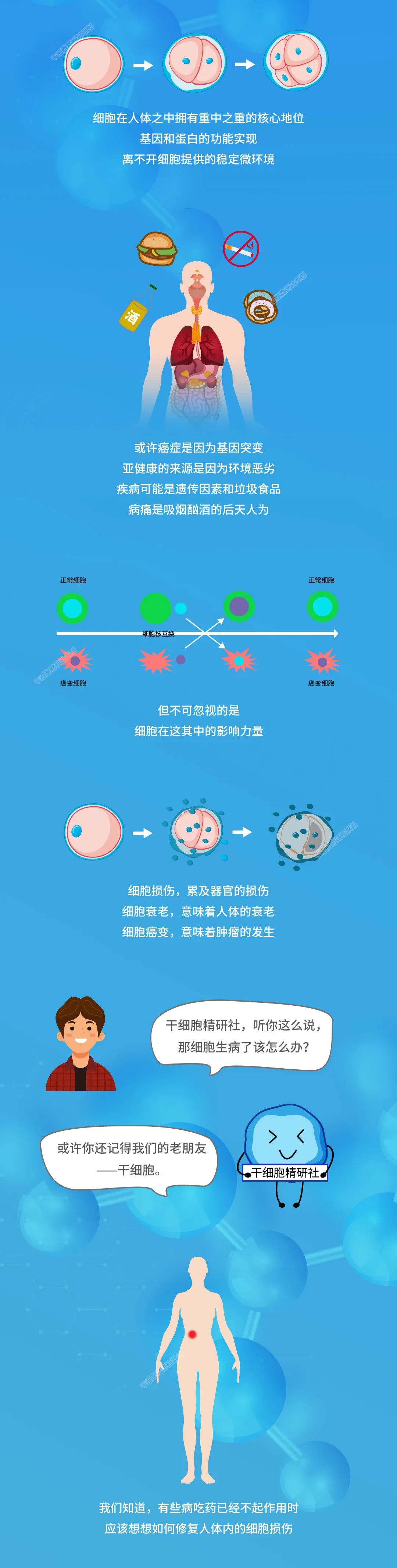 图解：人体，源于细胞，终于细胞！