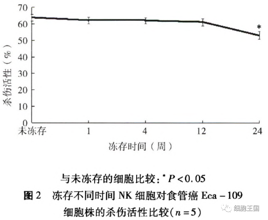 冷冻后NK细胞效力减半？揭秘外周血来源与脐带血来源哪个更靠谱！