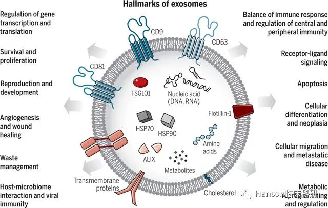火爆的外泌体研究2023：年发SCI超8000篇，中国占43%；在药物递送、标记物与治疗靶点方向均有突破