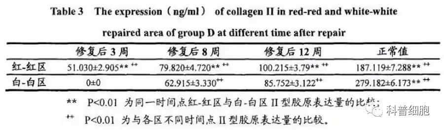 干细胞技术干预半月板损伤临床效果显著-这以是公认的有效手段之一