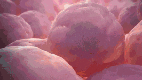 回输干细胞 | 如何对人体实现精准修复？