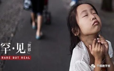 7000多种罕见病有望翻转命运？干细胞疗法崭露头角！