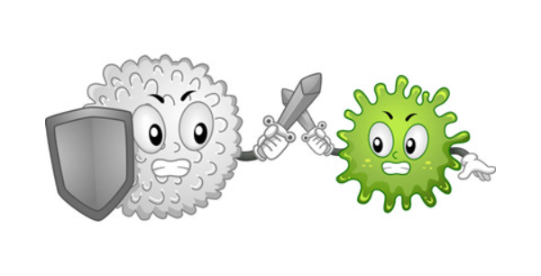 调控免疫力，干细胞和免疫细胞有何不同，该怎么选？