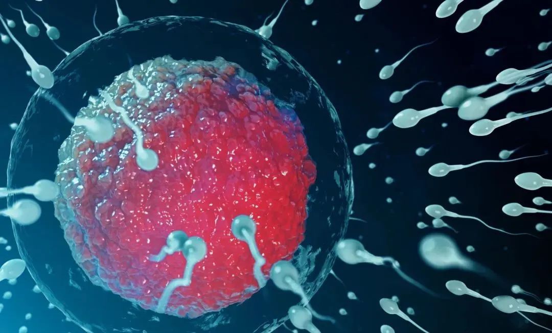 解密干细胞五大之最，它凭什么是人类生命之源？