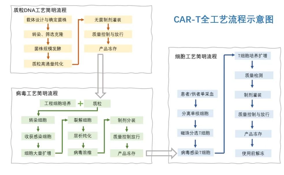 免疫细胞工艺开发与生产设备一览 上篇