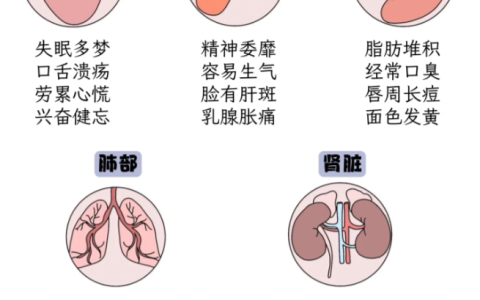 多达75%的人处于亚健康状态，免疫细胞唤醒你的身体活力！