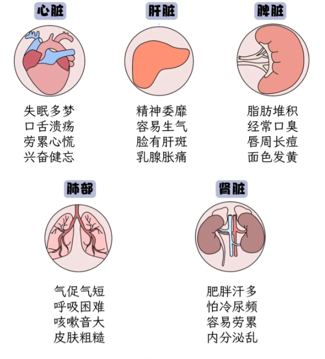 多达75%的人处于亚健康状态，免疫细胞唤醒你的身体活力！