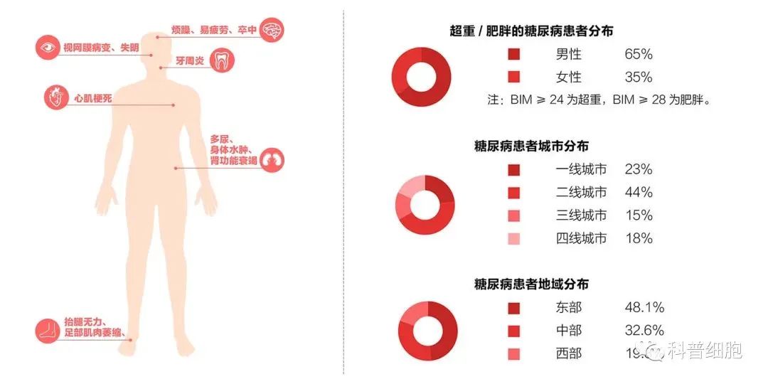 间充质干细胞治疗糖尿病有效吗？