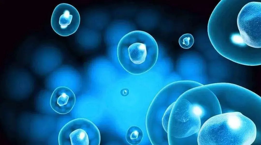 走进干细胞时代：2024最新干细胞治疗疾病清单！