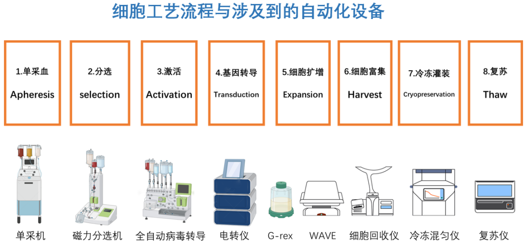 免疫细胞工艺开发与生产设备一览 上篇
