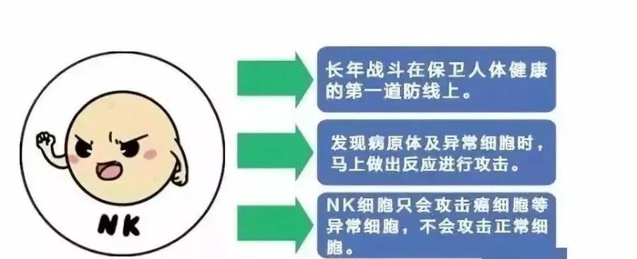 我是如此厉害的NK细胞！