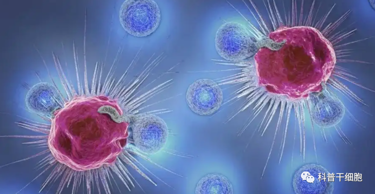 免疫细胞联合传统治疗手段，能达到1+1＞2的抗癌效果
