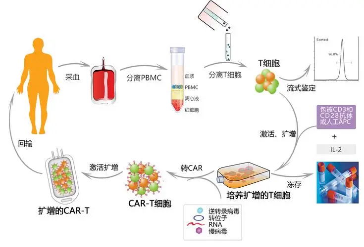 免疫细胞工艺开发与生产设备一览 上篇