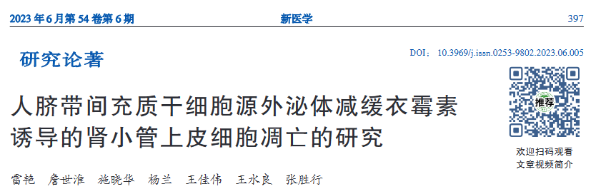 干细胞外泌体或将为肾脏损伤治疗带来革命