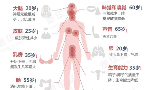 人过70不再“古来稀”？干细胞抗衰老狂潮下，或将造就一批百岁老人！