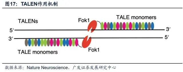 科普 | 细胞与基因治疗（干货建议收藏）