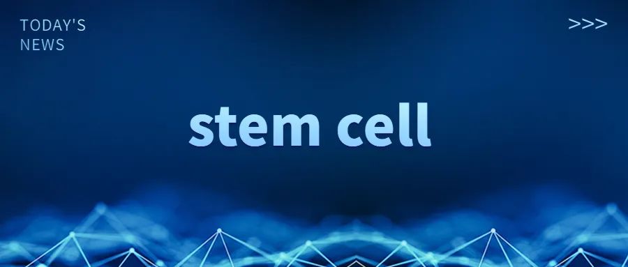 未来属于干细胞的三大新兴医学：转化医学、再生医学、精准医疗