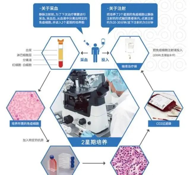 肿瘤患者接受免疫治疗多久起效?疗效能持续多长时间?