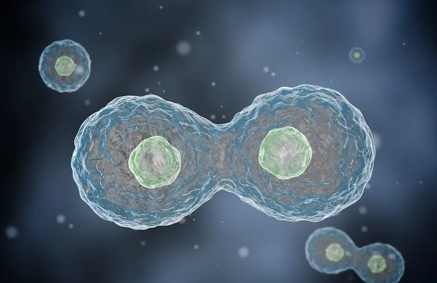 快速搞懂干细胞全家福：同为干细胞，它们有何不同？临床应用怎么选？