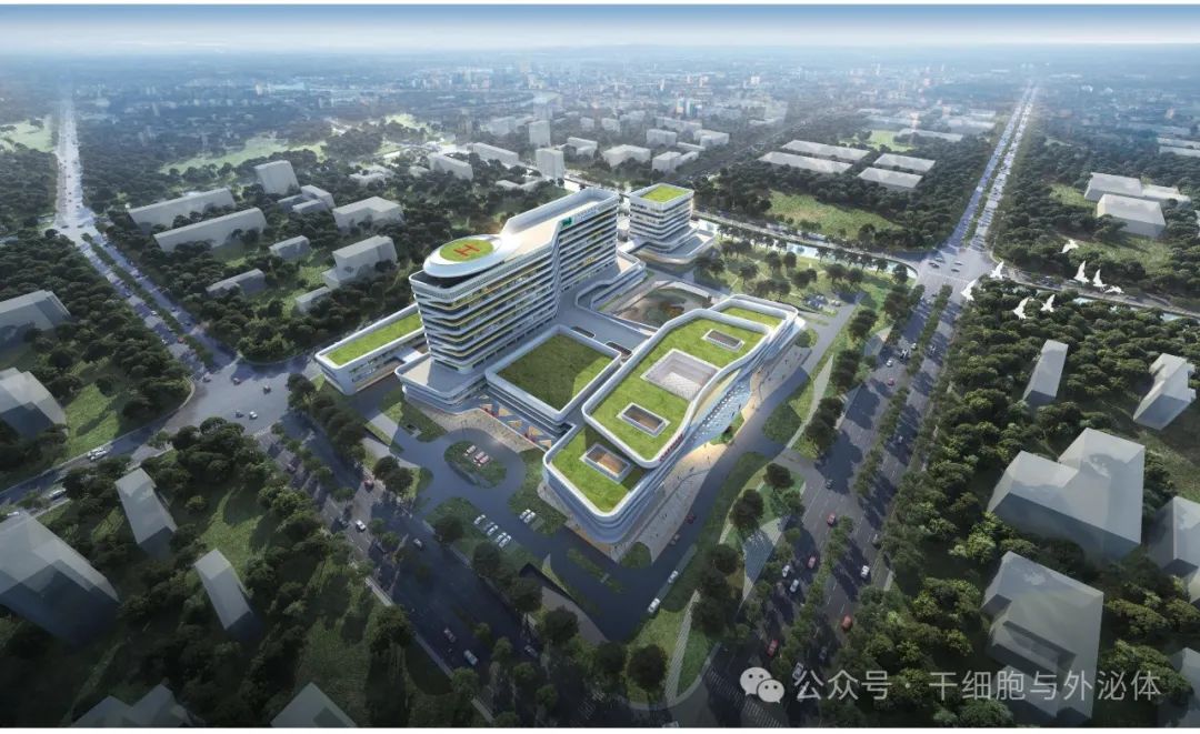 投资20亿，浦东医院临港院区开工，重点布局细胞免疫治疗