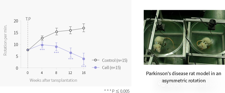 韩国：12名帕金森患者接受胚胎干细胞来源TED-A9疗法没有安全问题