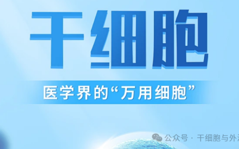 一文读懂：中国干细胞治疗六大专家共识，从慢病到抗衰