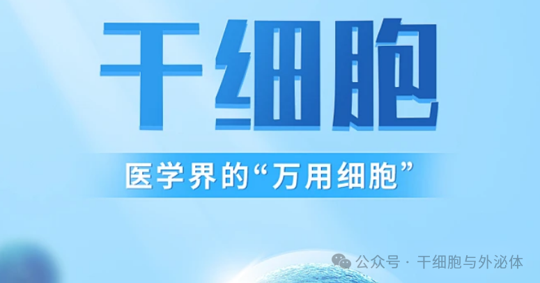 一文读懂：中国干细胞治疗六大专家共识，从慢病到抗衰