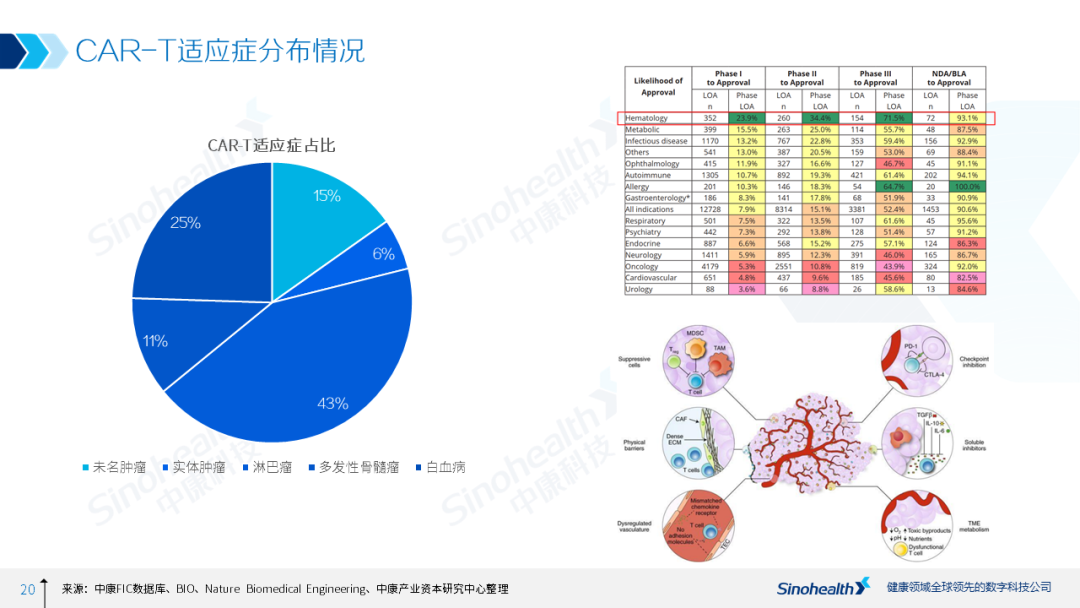 细胞治疗行业研究报告解读