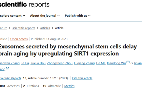 研究证实：干细胞外泌体有效延缓「脑衰老」