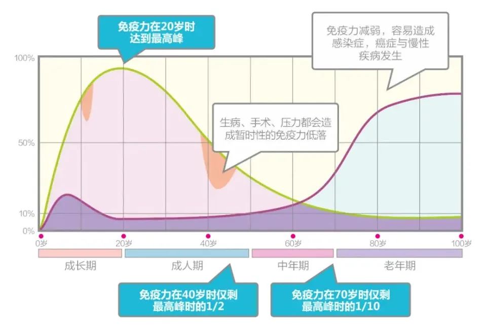 免疫细胞与人体健康的关系！