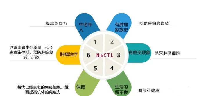 科学实锤！NK免疫细胞远比人们想象的要强大，它的分泌物也可抗癌