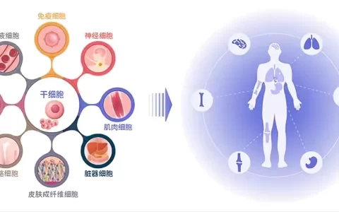 大众眼里的干细胞是智商税？真实的干细胞是什么？