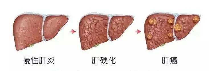 人体维修的工程师，“万用”的干细胞