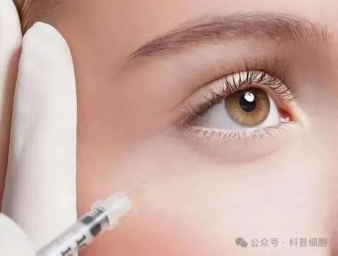法国《ELLE》杂志专题：外泌体如何用于皮肤护理、脱发治疗和整体美学？