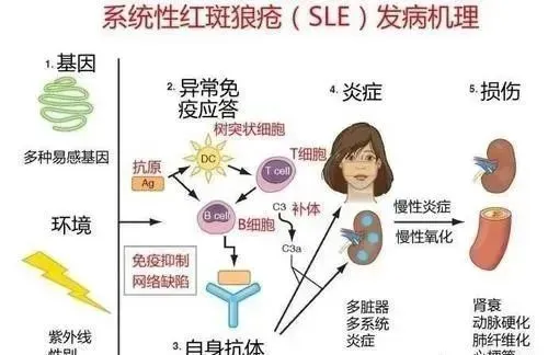 案例证实丨未来干细胞的使用范围和适应症