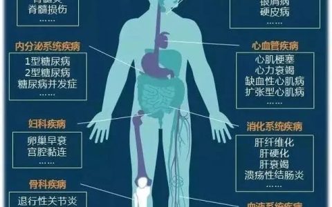 案例证实丨未来干细胞的使用范围和适应症