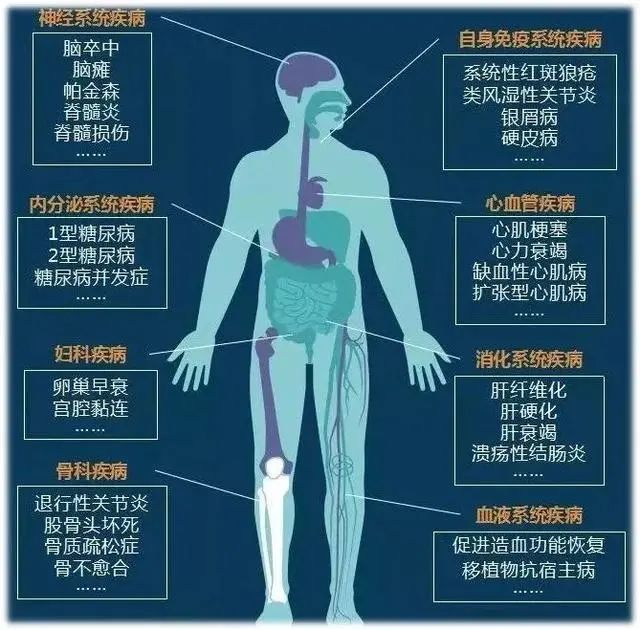 案例证实丨未来干细胞的使用范围和适应症