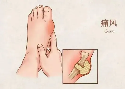 人体维修的工程师，“万用”的干细胞