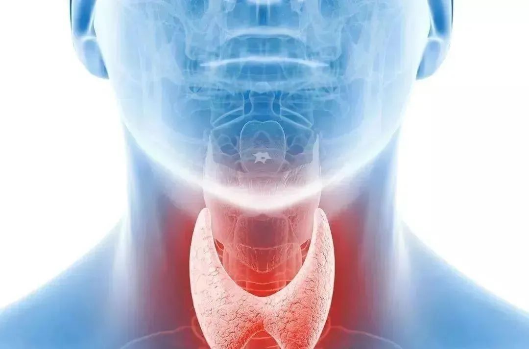 改善甲状腺健康，免疫细胞疗法来帮忙！