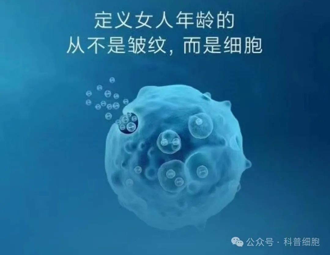 法国《ELLE》杂志专题：外泌体如何用于皮肤护理、脱发治疗和整体美学？