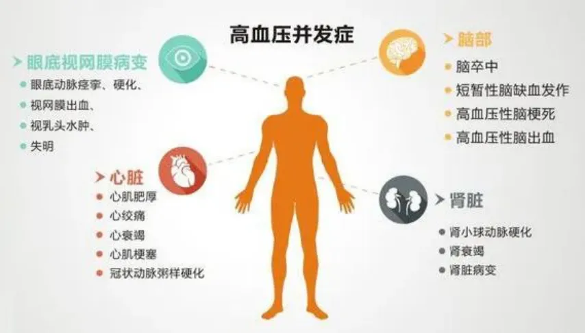 人体维修的工程师，“万用”的干细胞