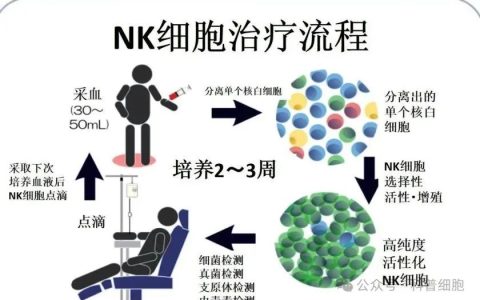 11年随访3625人研究发现，回输NK细胞的重要性