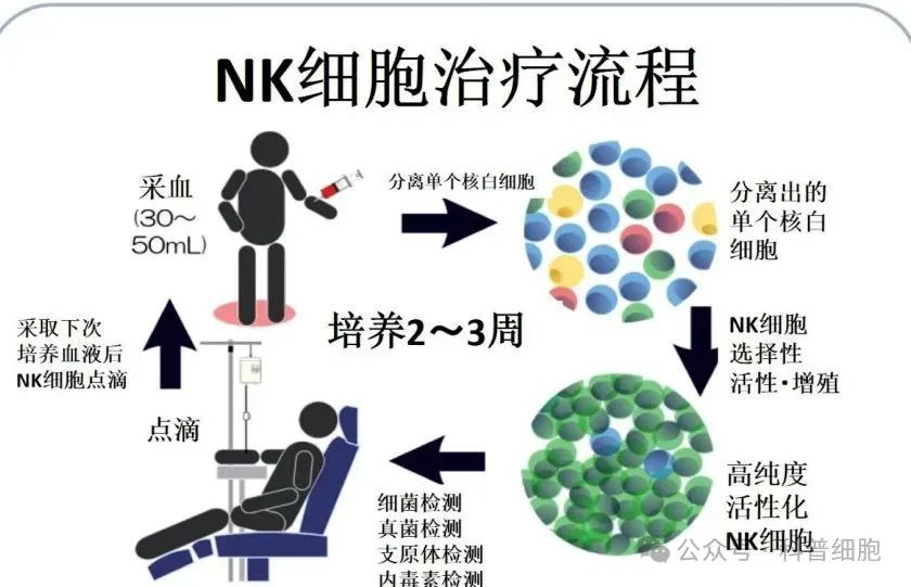 11年随访3625人研究发现，回输NK细胞的重要性